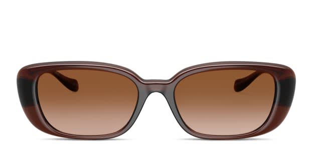 Versace VE4504D clear , brown frame with brown gradient lenses
