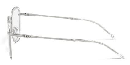 Diesel DL5009 Silver glasses - Silver - Side View