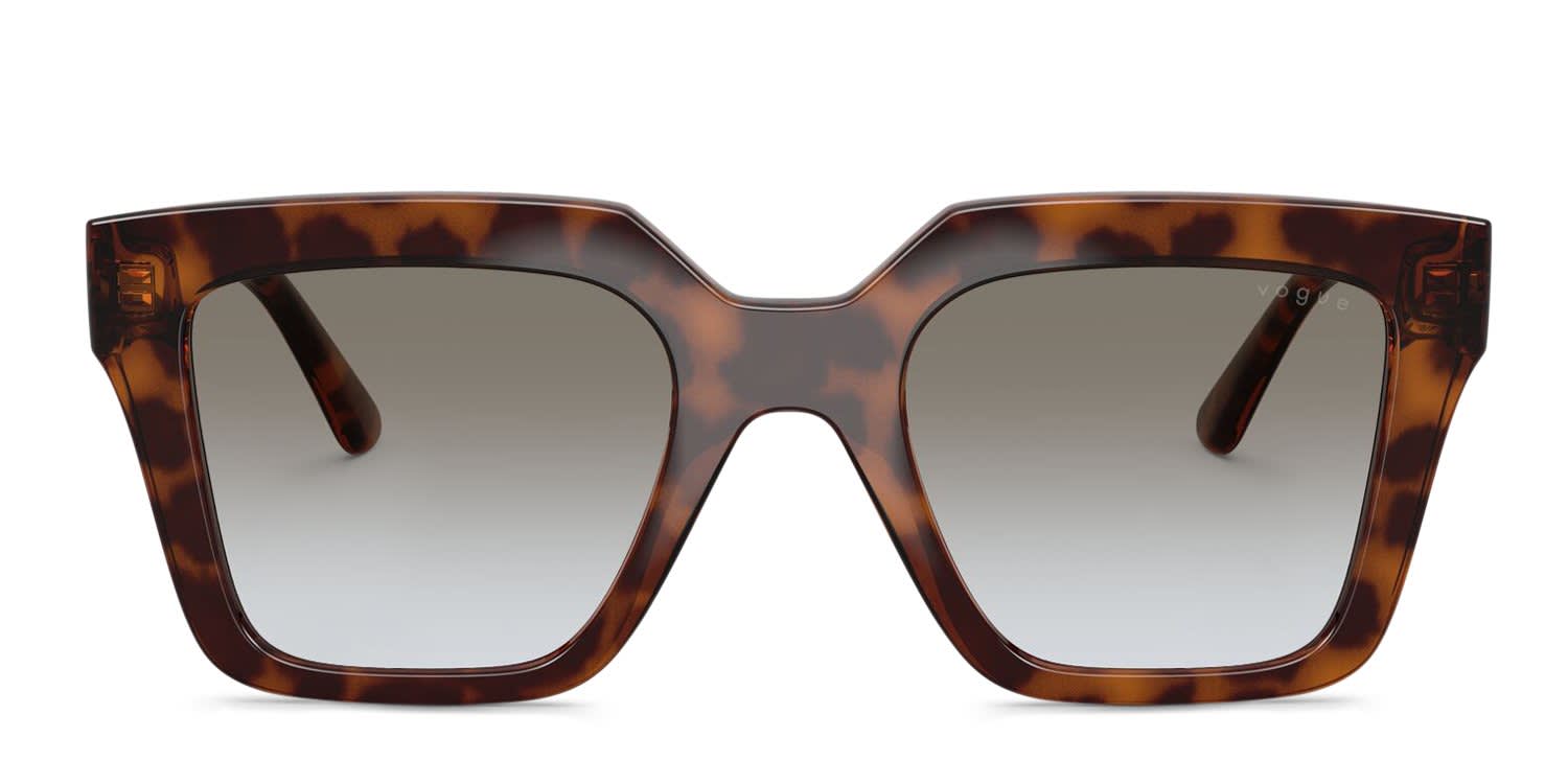 Roberto Cavalli SRC002M tortoise frame with gradient grey lenses