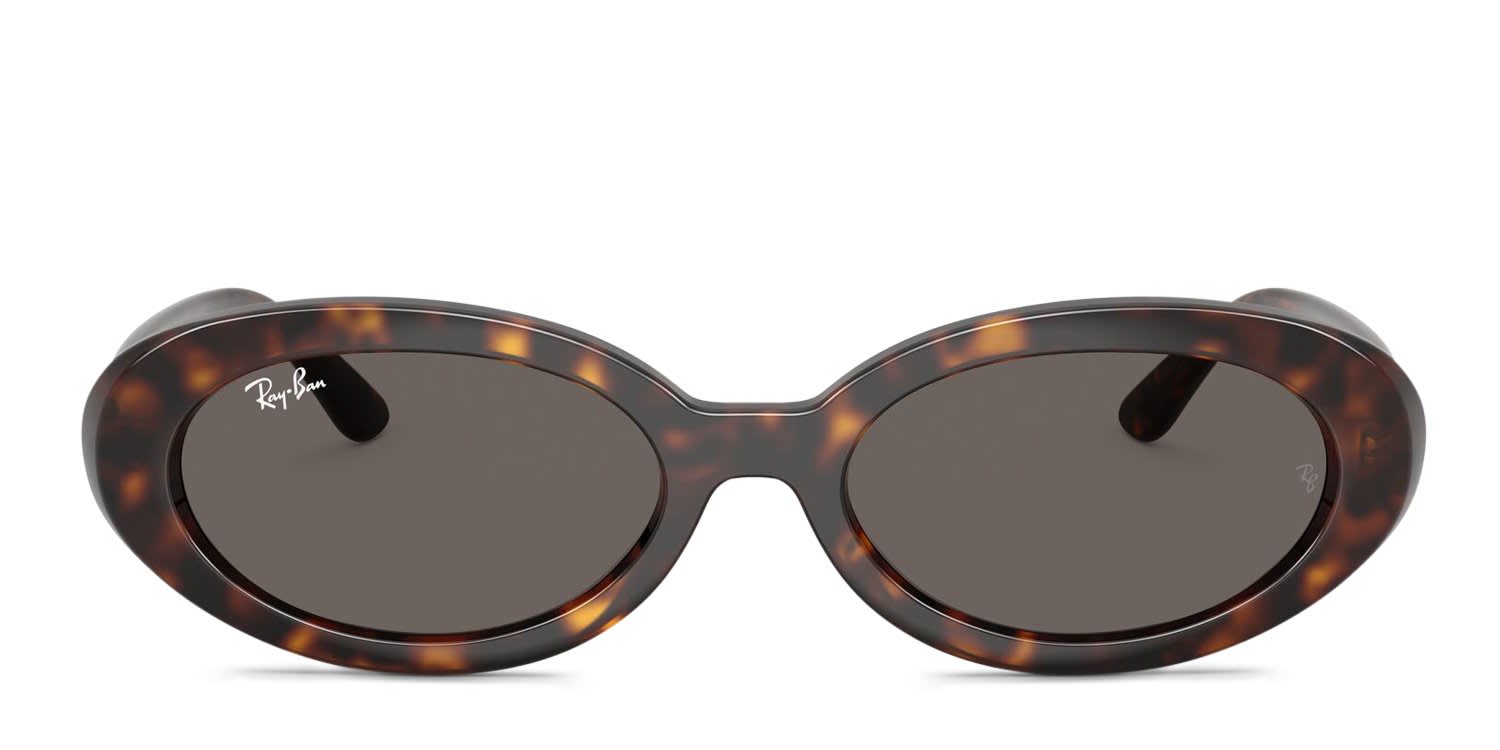 Ray-Ban RB2223 Tortoise, Gray glasses - Tortoise / Gray - Frontal View