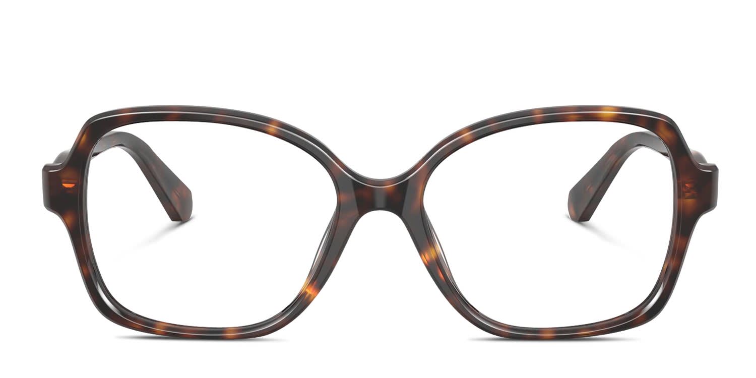 Jimmy Choo JC3012 tortoise frames