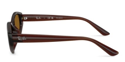Ray-Ban RB4473D Brown glasses - Brown - Side View