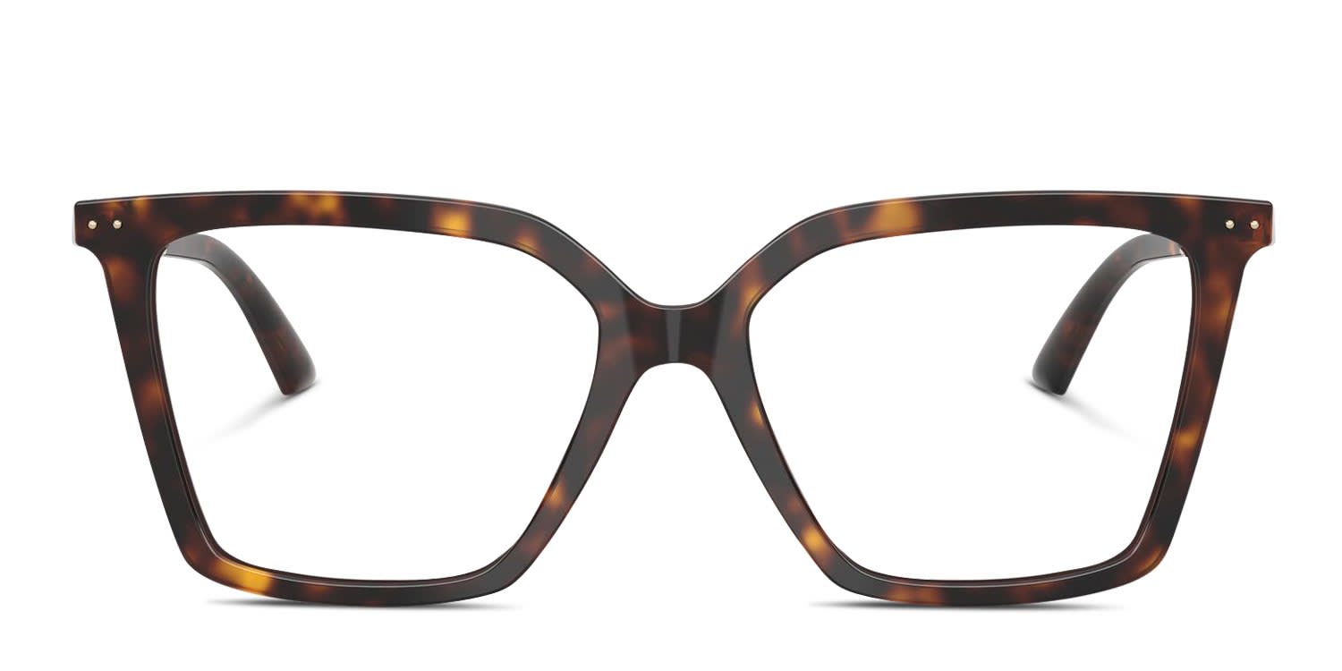 Jimmy Choo JC3019B tortoise frame