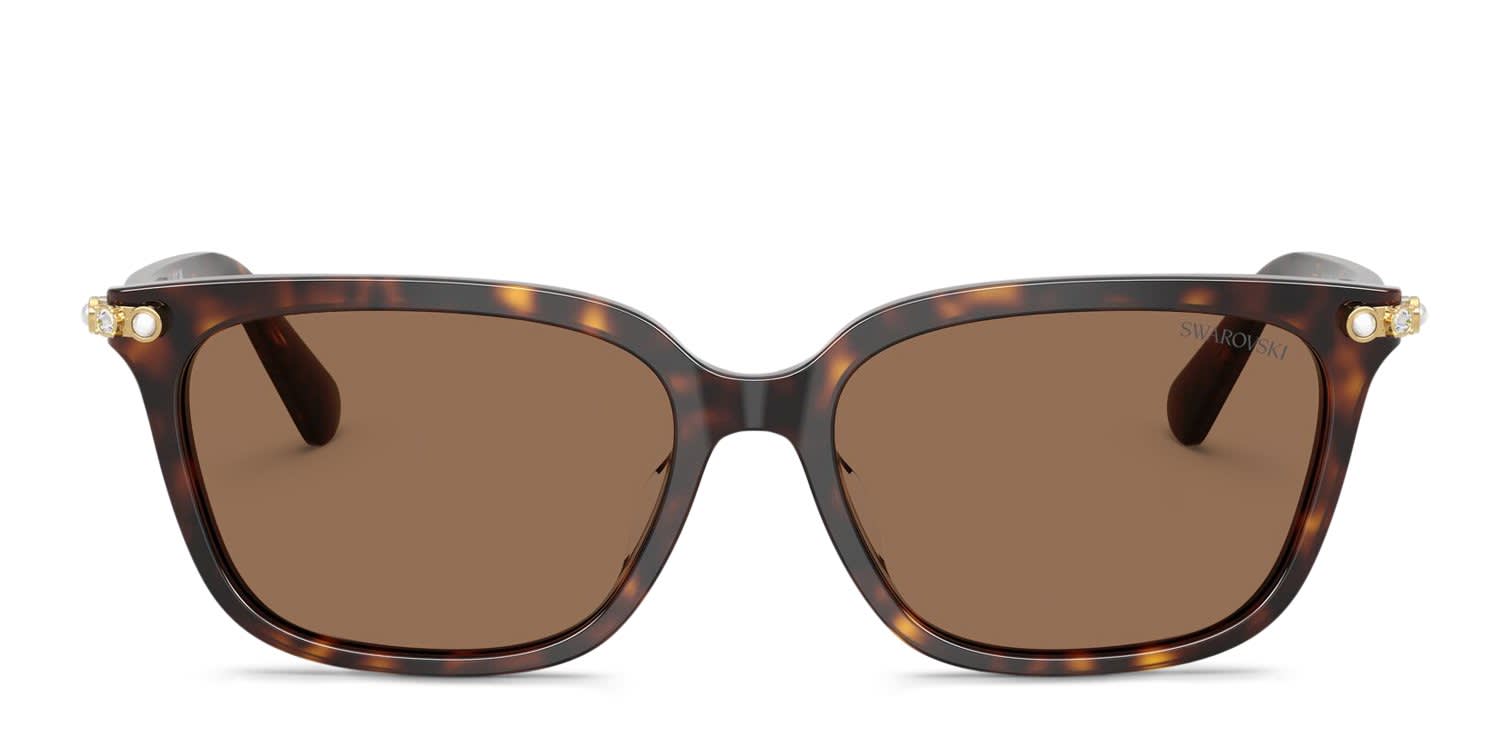 Swarovski SK6064D Tortoise, Brown glasses - Tortoise / Brown - Frontal View