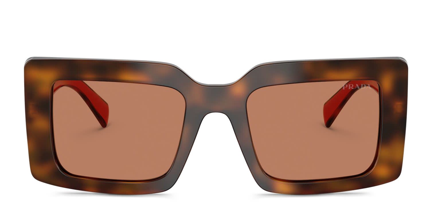 Prada PRD01S Tortoise, Brown glasses - Tortoise / Brown - Frontal View