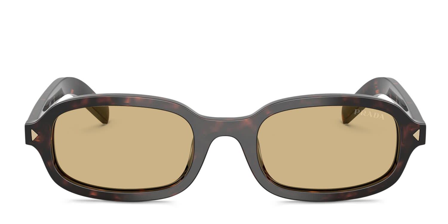 Prada PRD06S Tortoise, Brown glasses - Tortoise / Brown - Frontal View