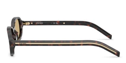 Prada PRD06S Tortoise, Brown glasses - Tortoise / Brown - Side View