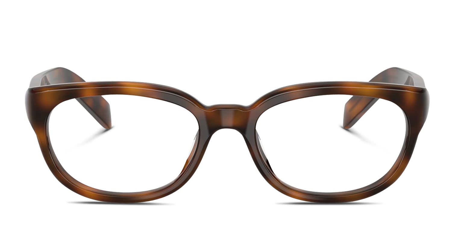 Prada PRD03VU tortoise frames display picture 1