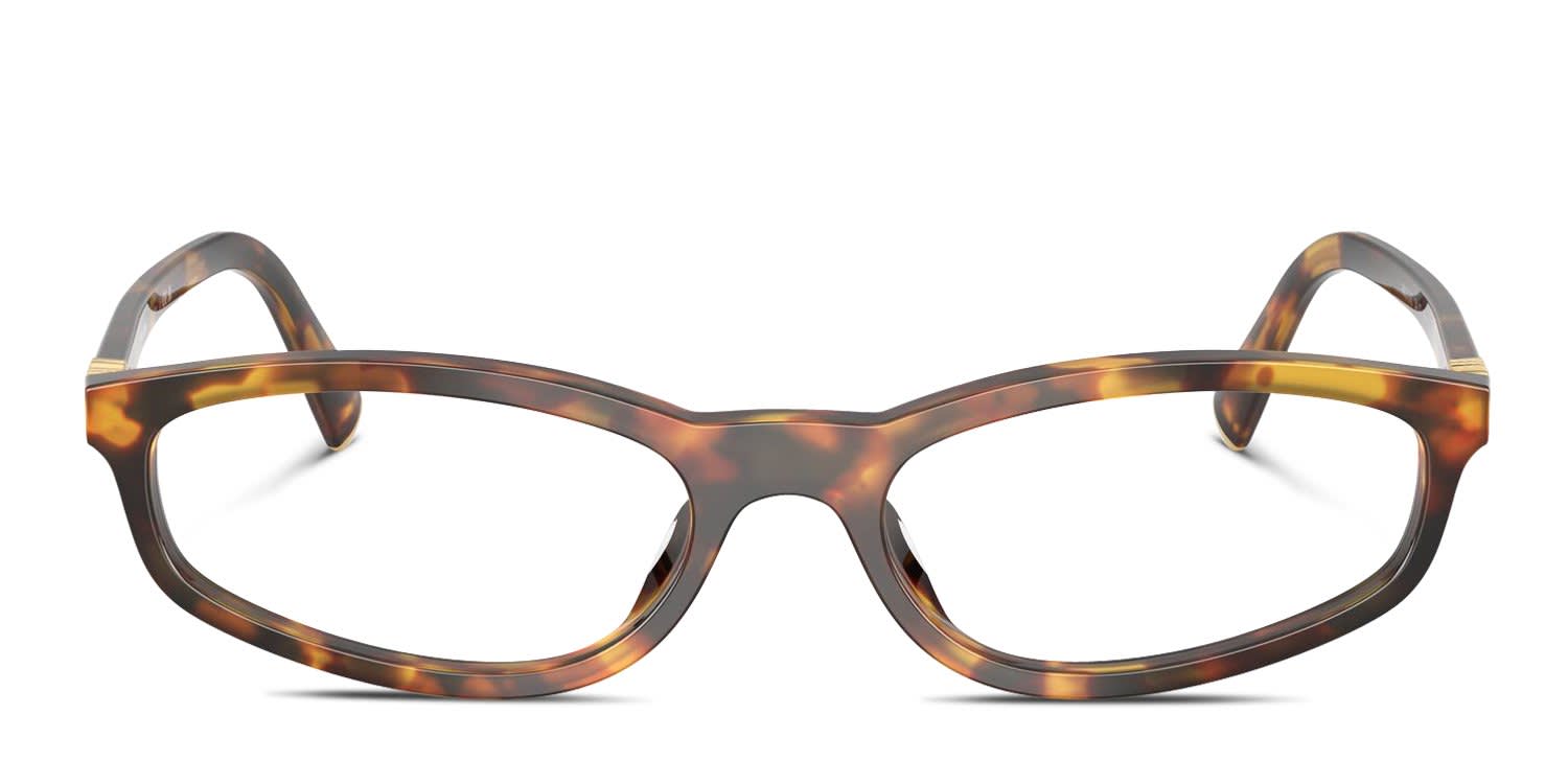 Miu Miu MU01ZV Bronze, Tortoise glasses - Bronze / Tortoise - Frontal View
