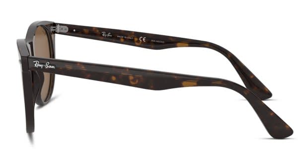 Ray-Ban RB 2185 - Wayfarer ii Sunglasses in Tortoise/ Polarized Brown Lens Ray Ban WAYFARER II (RB2185-902/57 55) Stripped Havana with  main image 4
