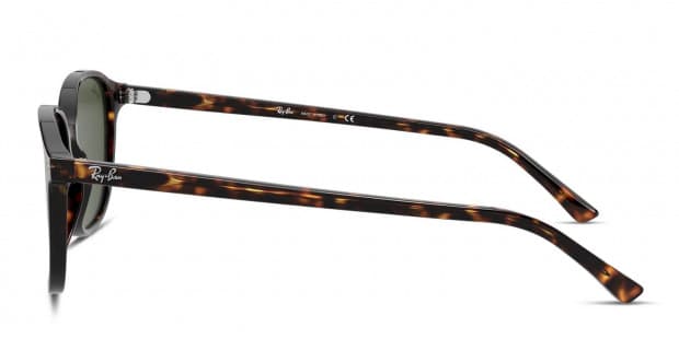 The Ray-Ban Leonard 2193 is a modern take on an iconic style