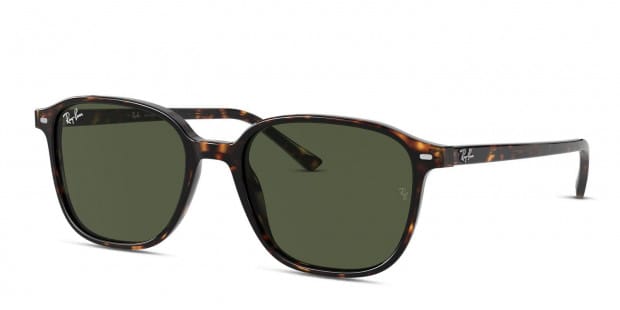 The Ray-Ban Leonard 2193 is a modern take on an iconic style