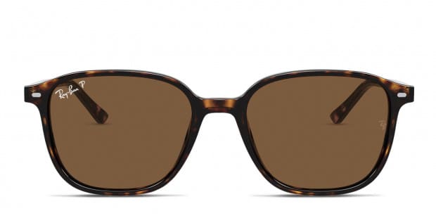 Ray-Ban RB2193 Leonard Brown, Tortoise frame with brown  display picture 3