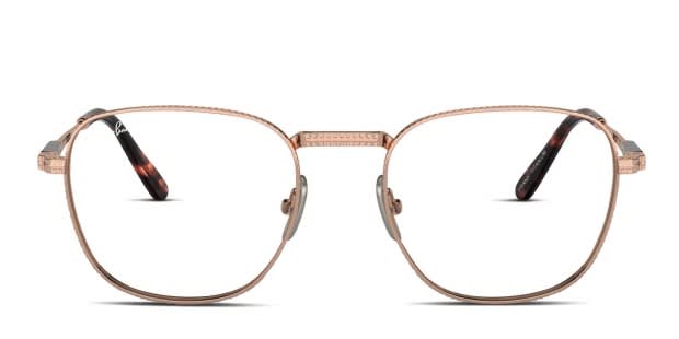 Ray-Ban RX8258V Frank Titanium Rose Gold frame