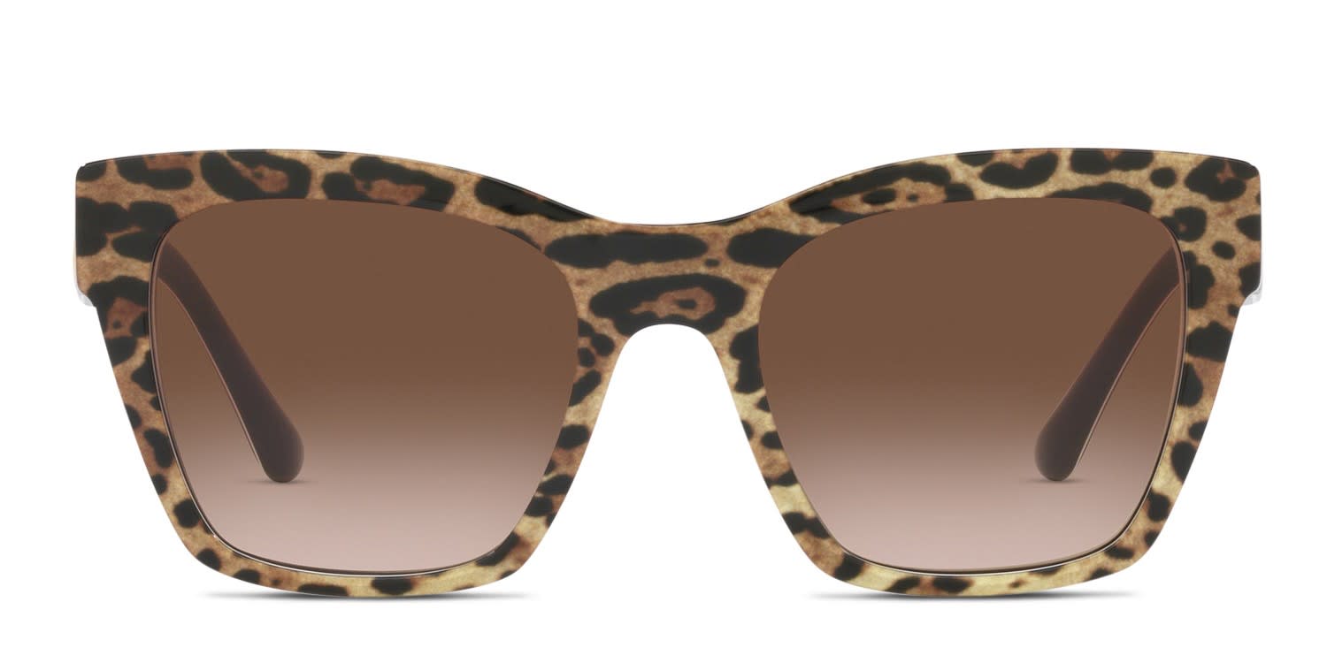 Dolce & Gabbana DG4384 Brown, Black glasses - Brown / Black - Frontal View