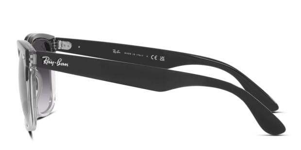 Ray-Ban RB4487 Steve Sunglasses, Black