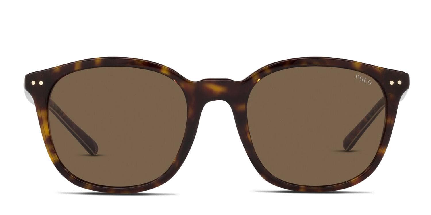 Polo Ralph Lauren PH4188 Brown, Tortoise glasses - Brown / Tortoise - Frontal View