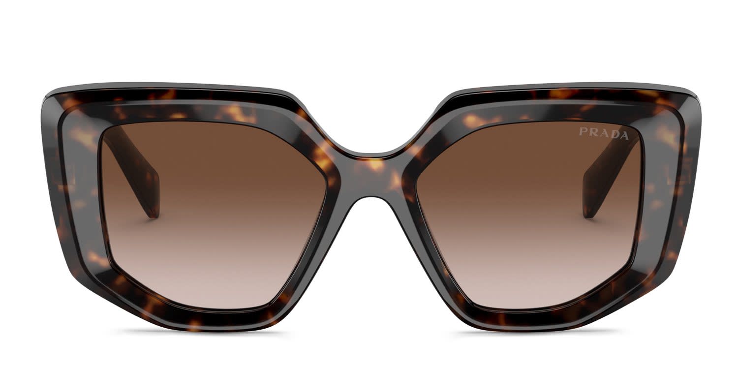 Prada PR14ZS Tortoise glasses - Tortoise - Frontal View