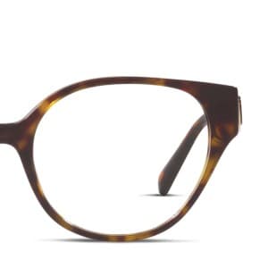 frame