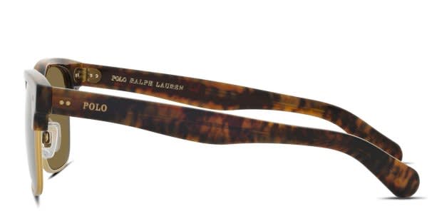 Polo Ralph Lauren PH4202 Brown, Tortoise, Gold Prescription  display picture 3