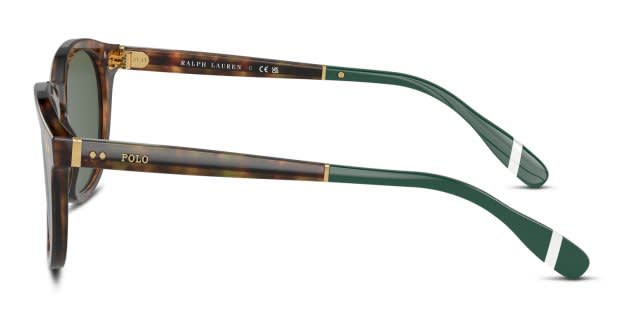 Polo Ralph Lauren PH4206 brown , tortoise frame with bottle  display picture 3