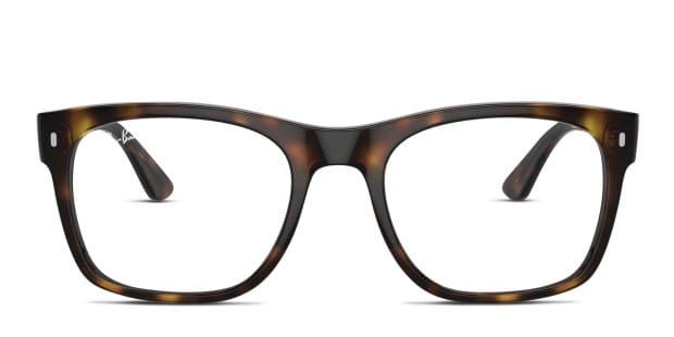 Ray ban sticky frames hotsell