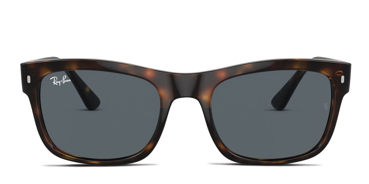 Ray-Ban RB4428 Tortoise, Blue glasses - Tortoise / Blue - Frontal View