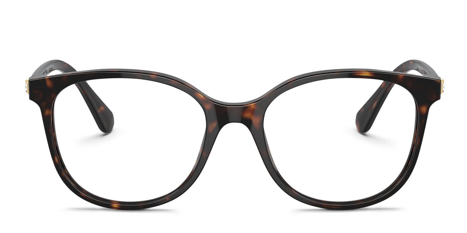 Swarovski SK2002 Tortoise glasses - Tortoise - Frontal View