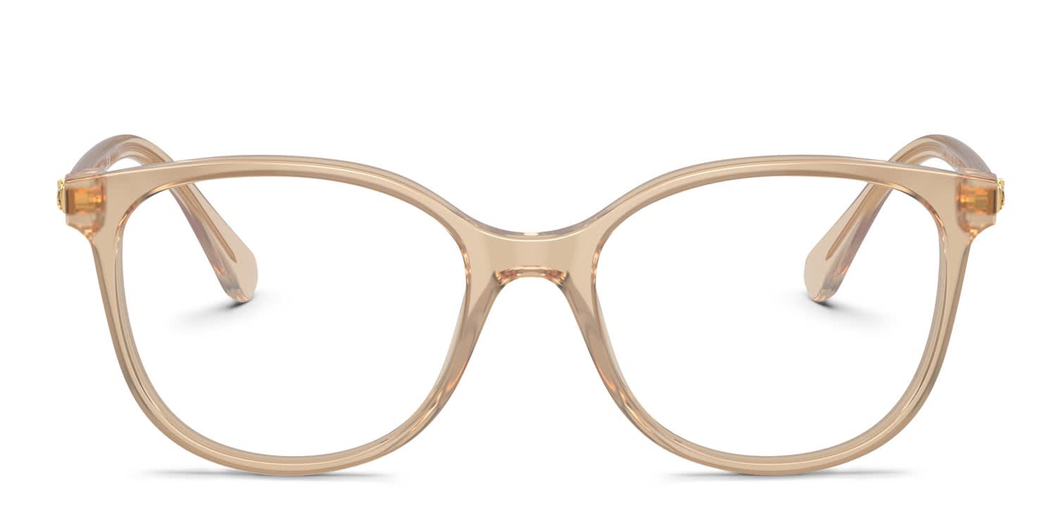 Swarovski SK2002 Brown glasses - Brown - Frontal View