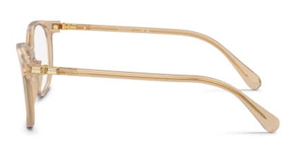 Swarovski SK2002 Brown glasses - Brown - Side View
