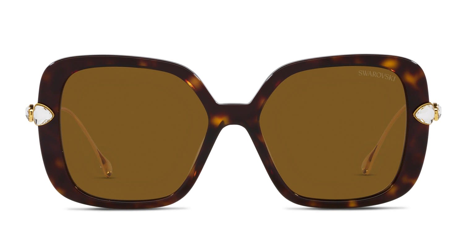Swarovski SK6011 Tortoise glasses - Tortoise / Brown - Frontal View