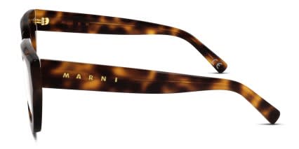 Marni Hallerbos Forest Tortoise glasses - Tortoise - Side View
