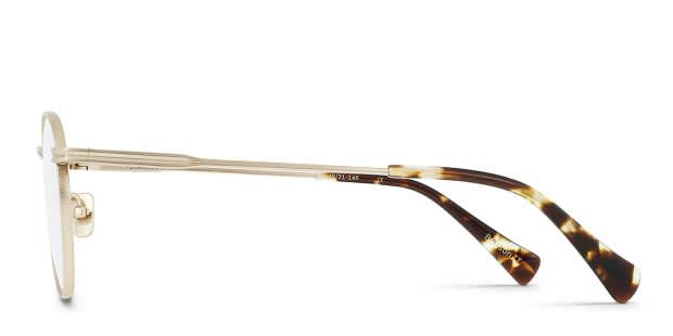 RAEN Benson II Gold Prescription Eyeglasses