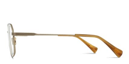 RAEN Dalvin Gold glasses - Gold - Side View
