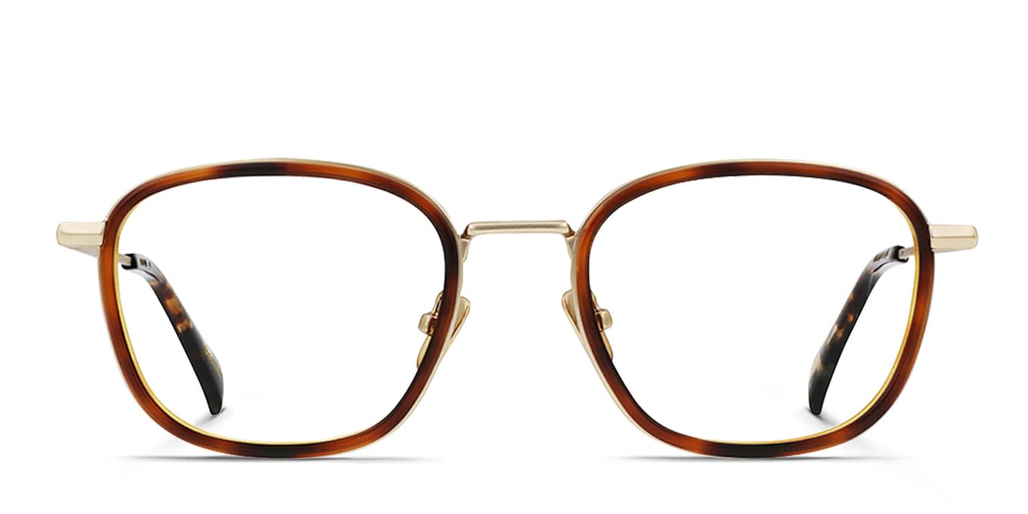 RAEN Varlin Gold Frame Sunglasses with Olive brown Lenses Raen Darine Sunglasses | Prescription Raen Sunglasses | SportRx main image 4