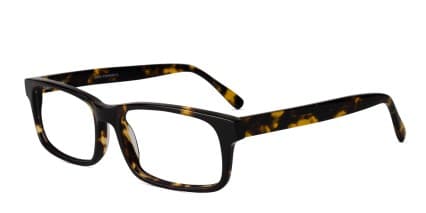 Jeff Tortoise glasses - Tortoise - Angle View