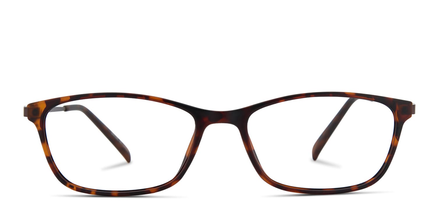 Delacour Tortoise glasses - Tortoise - Frontal View