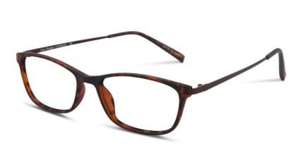 Delacour Tortoise glasses - Tortoise - Angle View