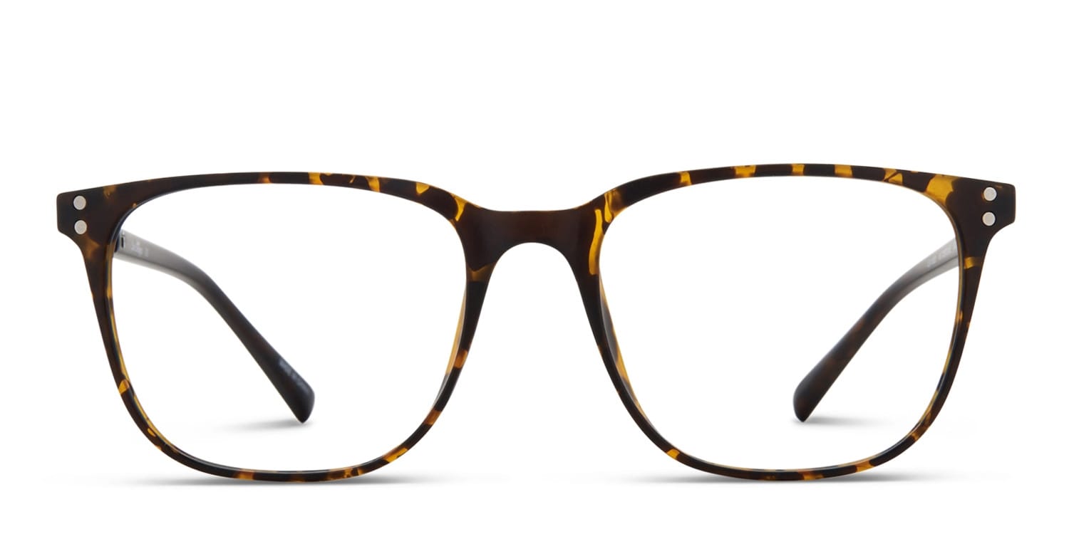 Oceana Tortoise glasses - Tortoise - Frontal View