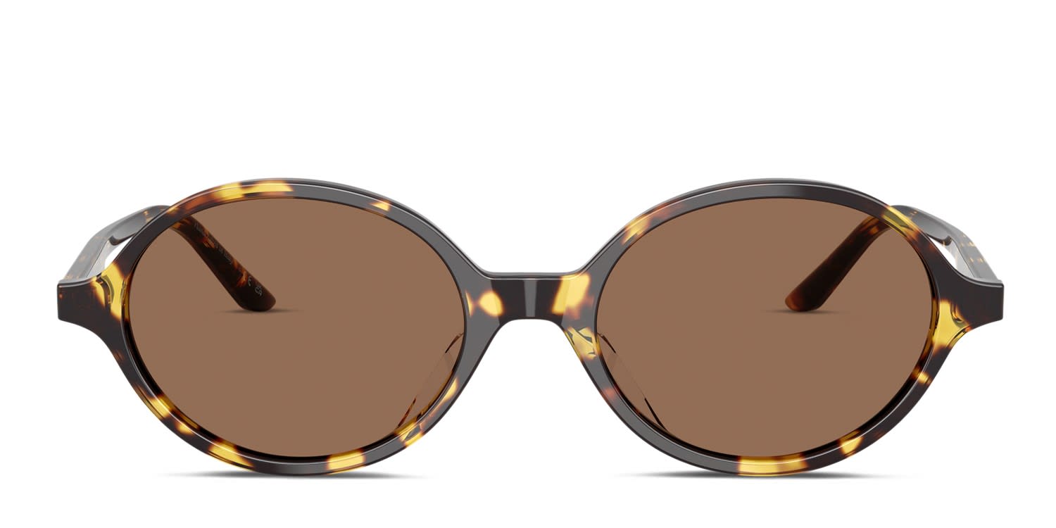 Oliver Peoples OV5574SU 2000C Tortoise glasses - Tortoise / Brown - Frontal View