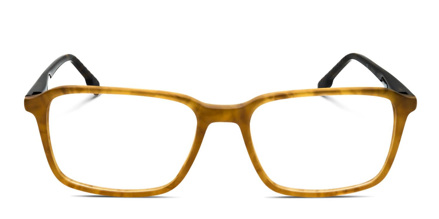 Quiksilver QS2005 Gold, Tortoise glasses - Gold / Tortoise - Frontal View