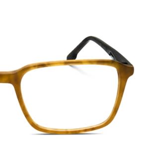 frame