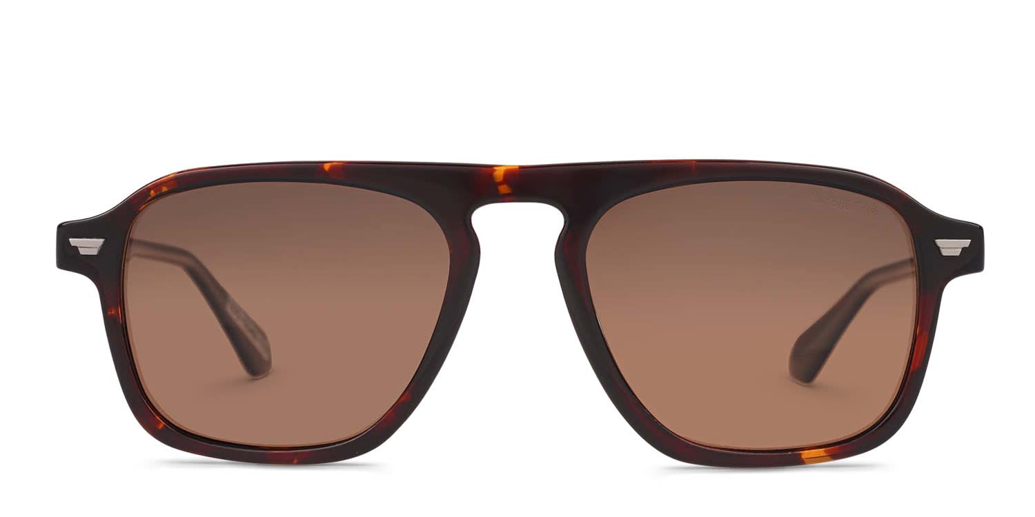 Superdry SDS-5049 Tortoise glasses - Tortoise - Frontal View