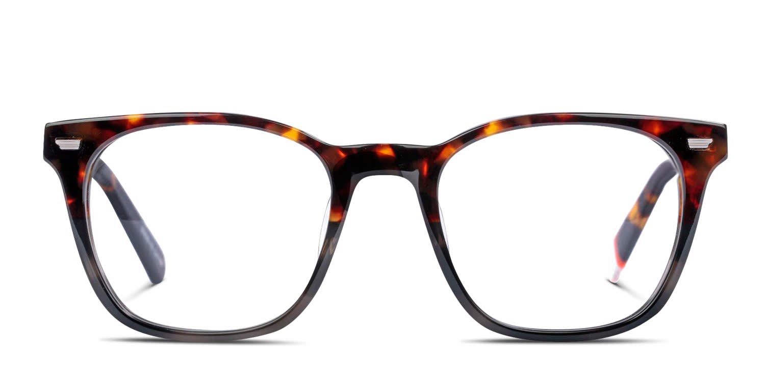 Superdry SDO-3065 Tortoise, Gray glasses - Tortoise / Gray - Frontal View