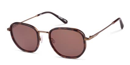 Barbour BAS-3077 Tortoise, Brown glasses - Tortoise / Brown - Angle View