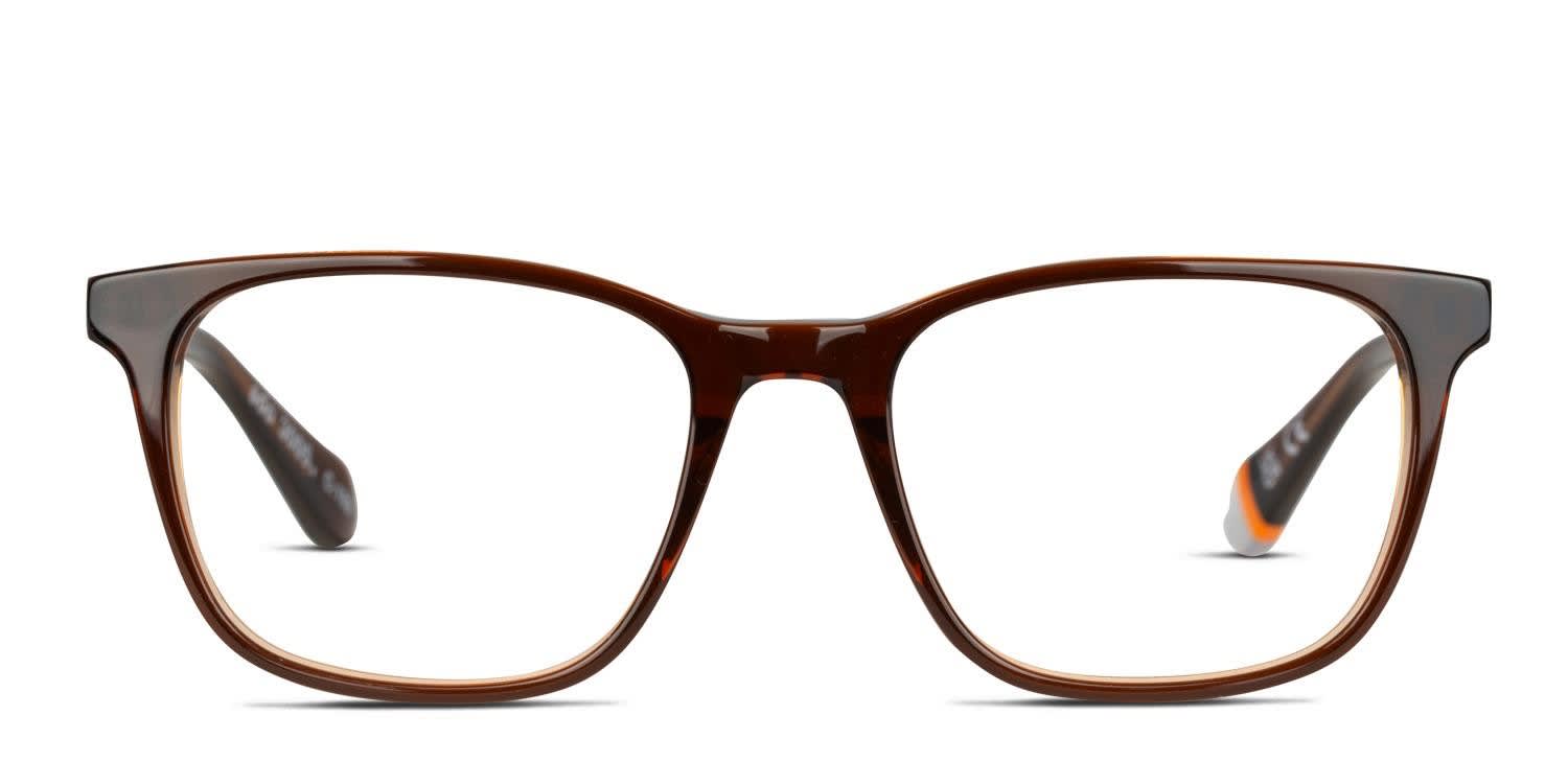 Superdry SDO-3005 Brown glasses - Brown - Frontal View