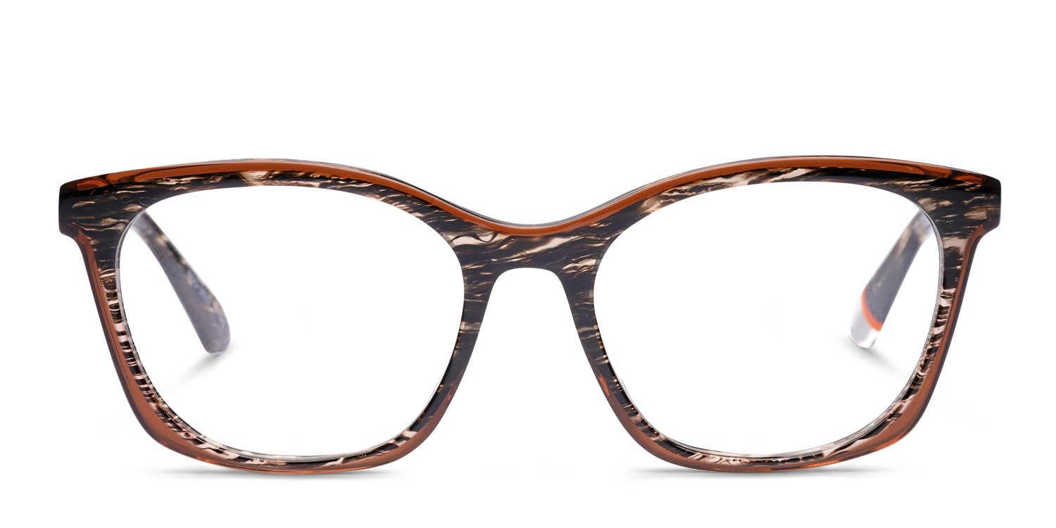 Superdry SDO-3022 Black, Brown glasses - Brown / Black - Frontal View