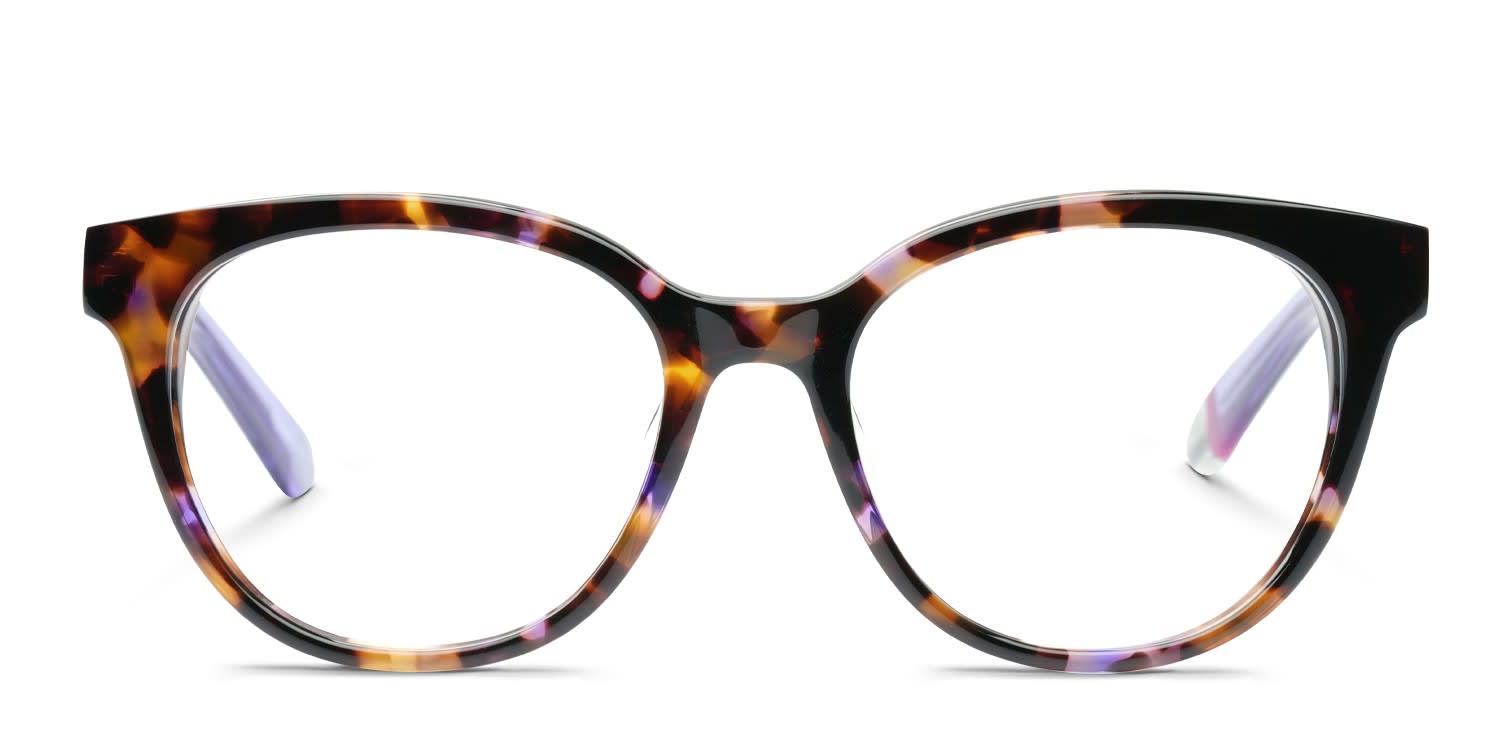Superdry SDO-3035 Tortoise, Purple glasses - Tortoise / Purple - Frontal View
