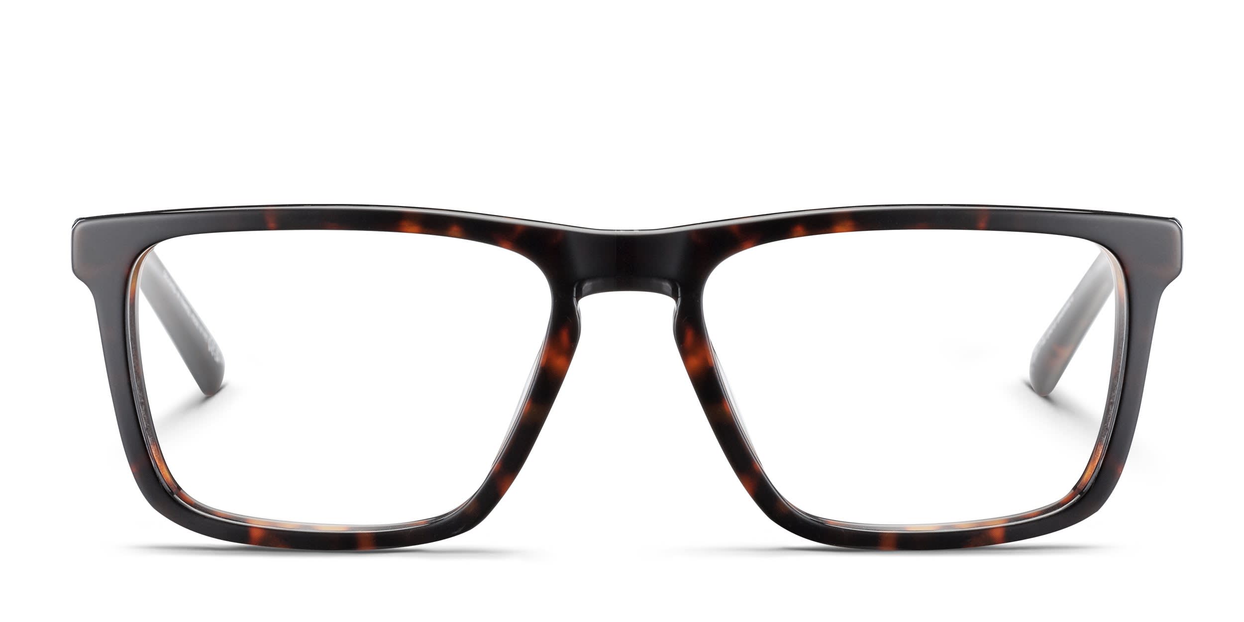 Bolle Epid 01 Tortoise glasses - Tortoise - Frontal View