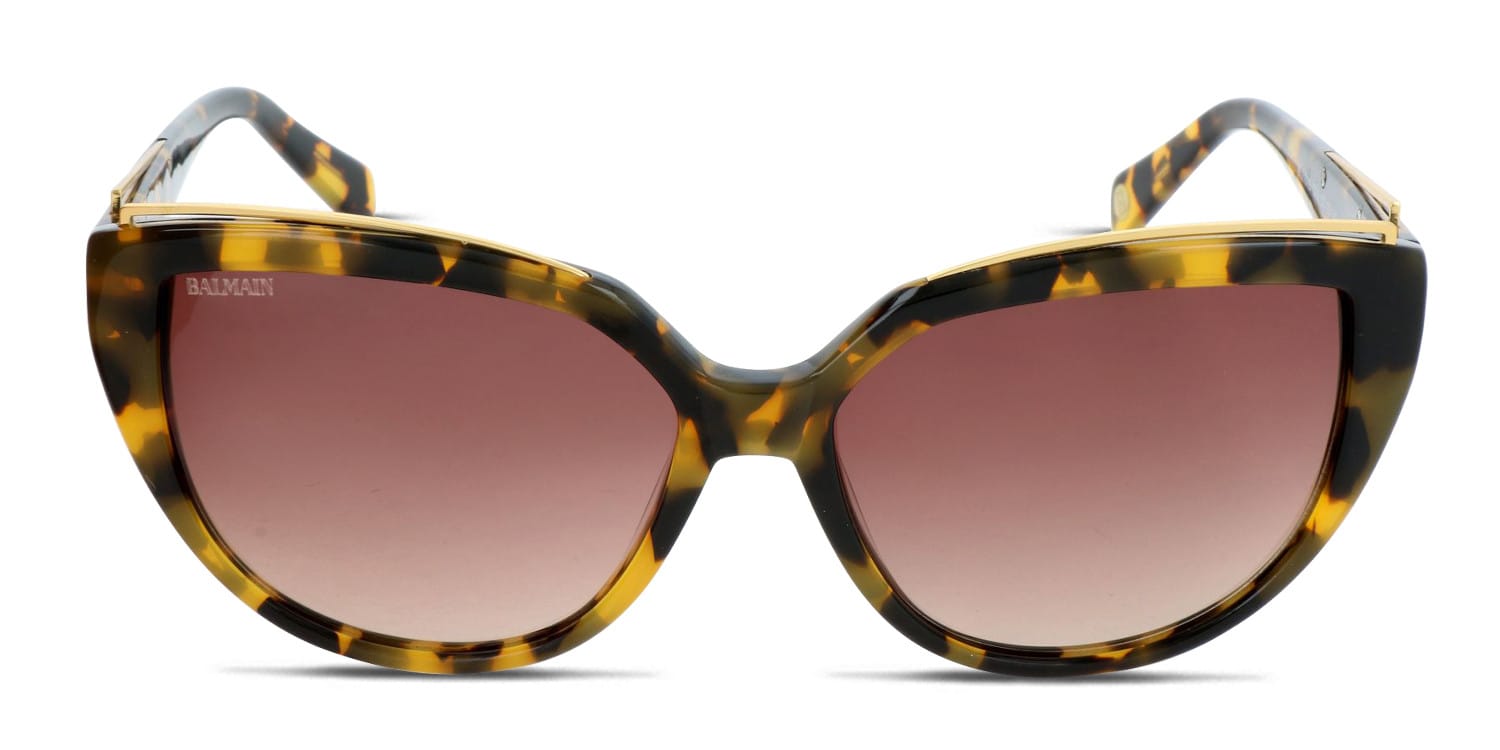 Balmain BL2107B tortoise frame with brown gradient lenses. Lenses